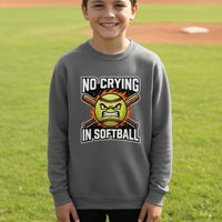 No Crying in Softball Funny Flame Skull Sports Hoodie Iron Grey - FRONT